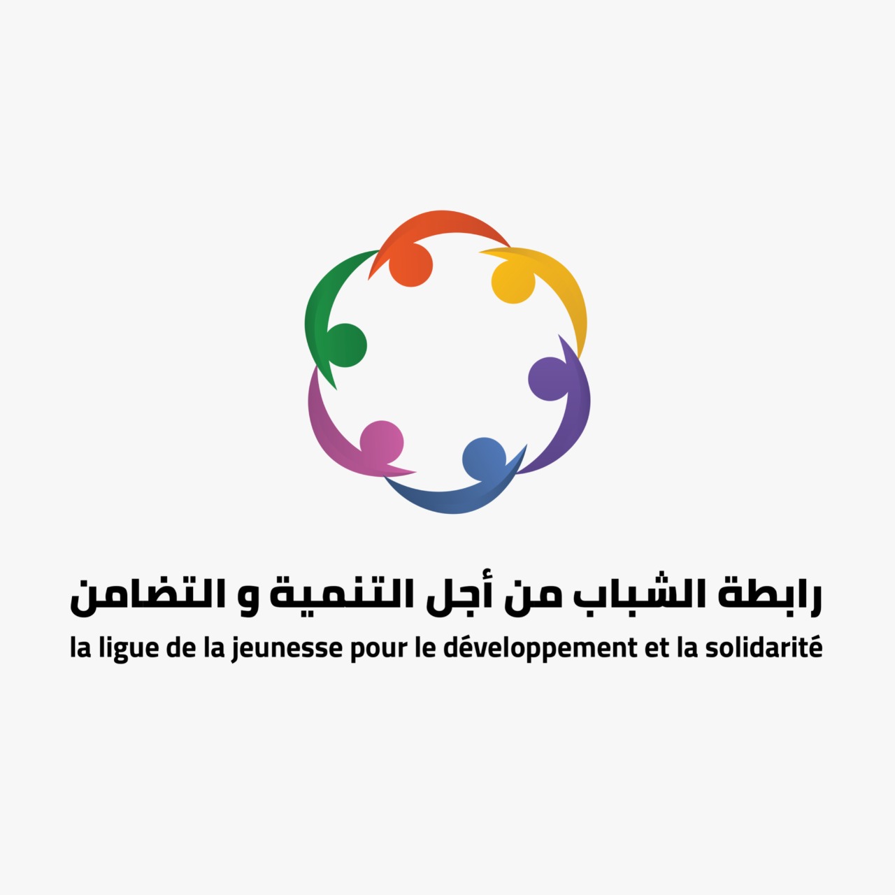 Ligue de la Jeunesse pour le Développement et la Solidarité