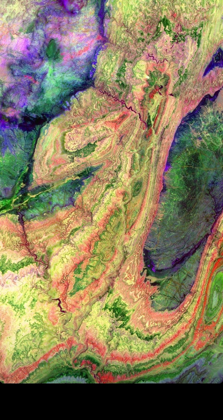 نادية الوراق