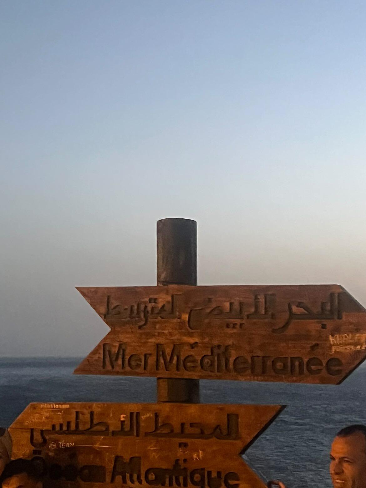 صلاح الدين صيفي