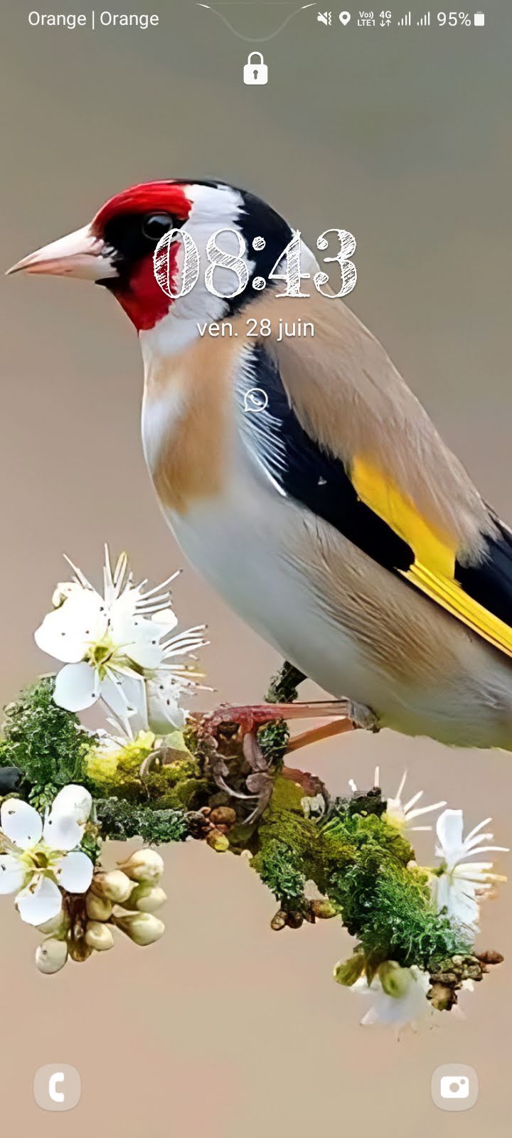 هاجر المساوي 