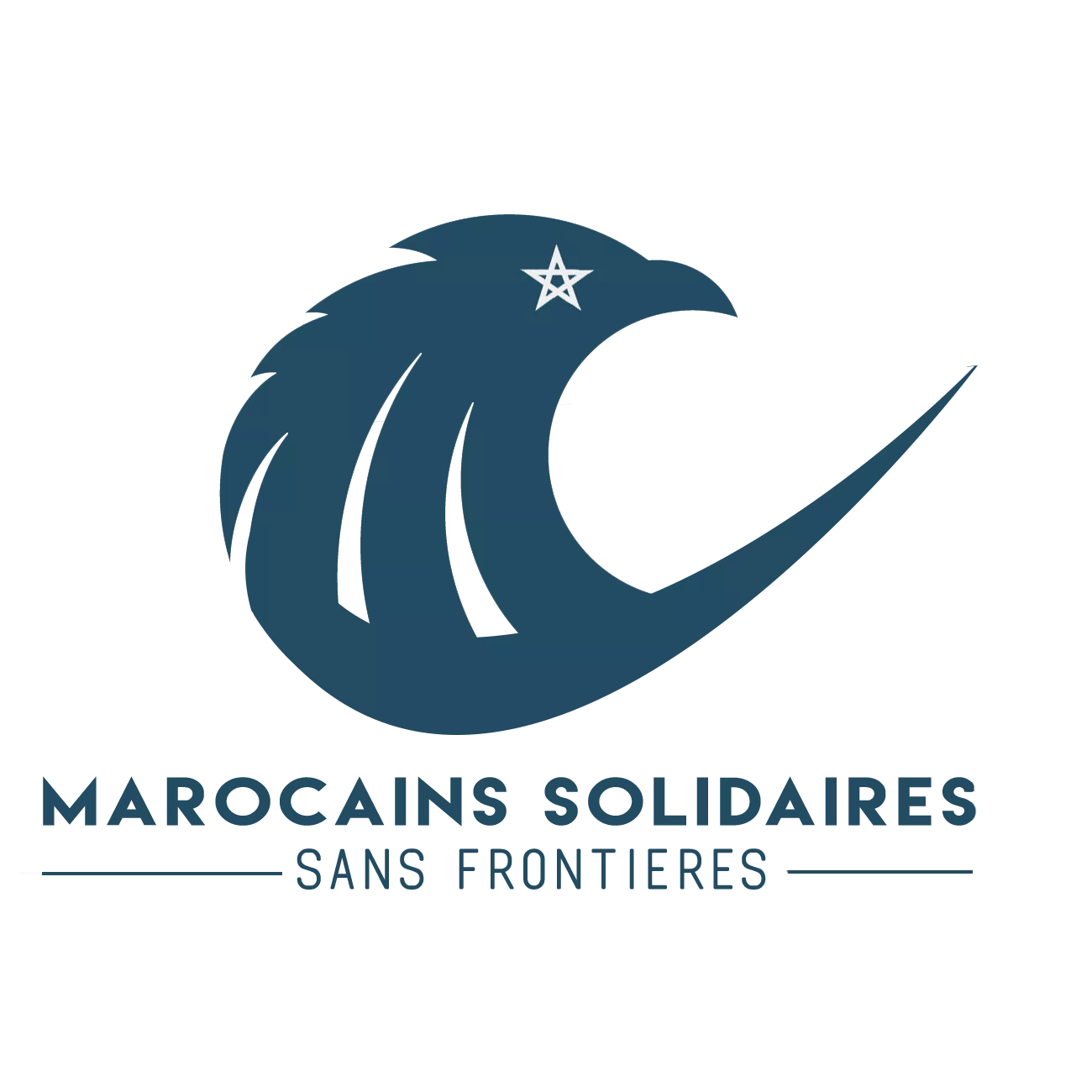 Association Marocains solidaires sans frontières